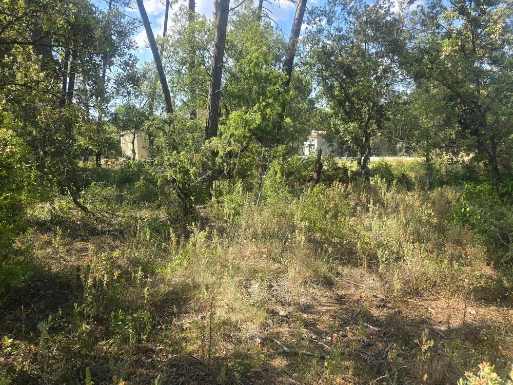 Vente Terrain terrain de 1002 m2 a sillans la cascades 83690 Sillans-la-cascade