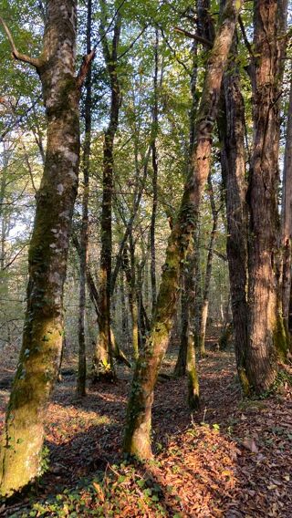  Terrain � vendre 4480 m�