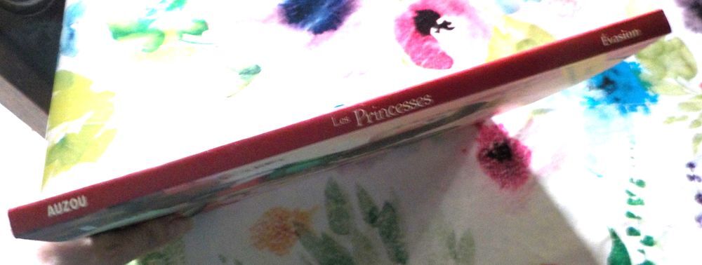 LES PRINCESSES de Agn&egrave;s LAROCHE et Xavi&egrave;re DEVOS Ed. Auzou Livres et BD