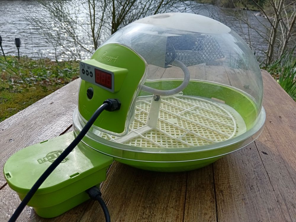   Incubateur oeufs d'oiseaux 