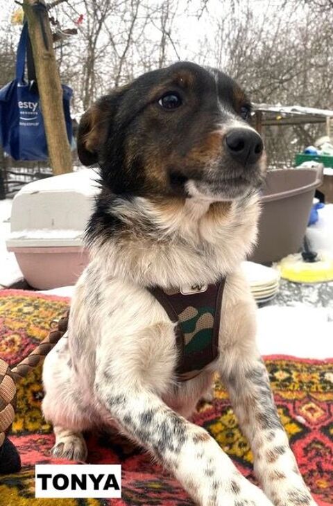 TONYA SE TROUVE DANS UN REFUGE EN UKRAINE 0 75018 Paris