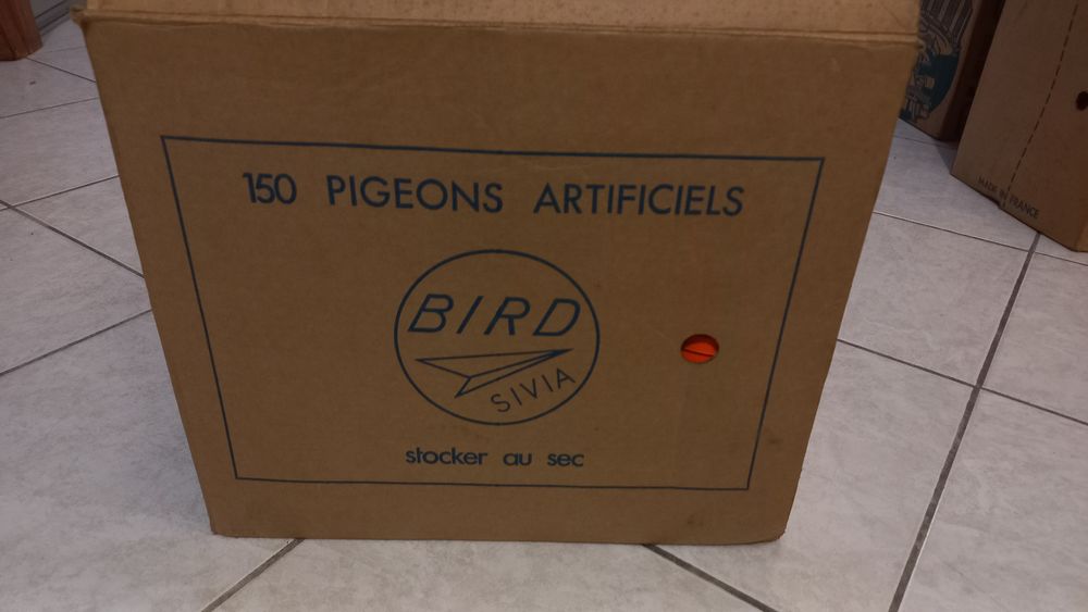 PIGEONS D'ARGILE Sports
