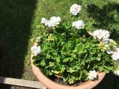   Je cherche pour m aider à déménager une personne dispo  
