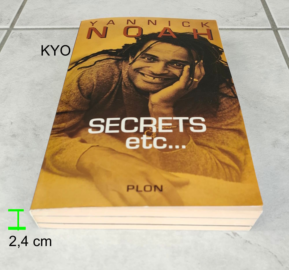 Yannick NOAH - Livre Secrets, etc - Etat Neuf Livres et BD