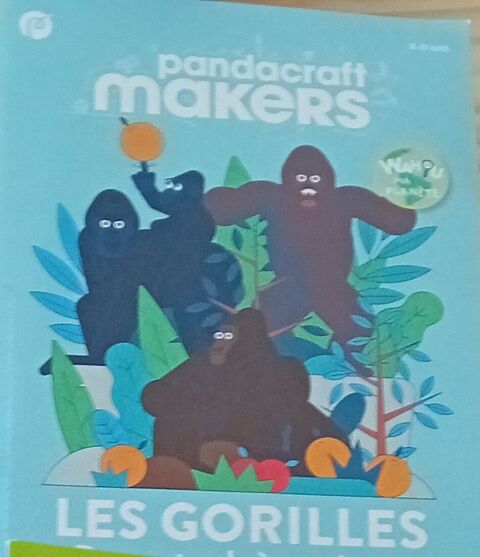 Lot 13 Magazines  Pandacraft  de 8 � 12 ans 10 Saint-Dizier (52)