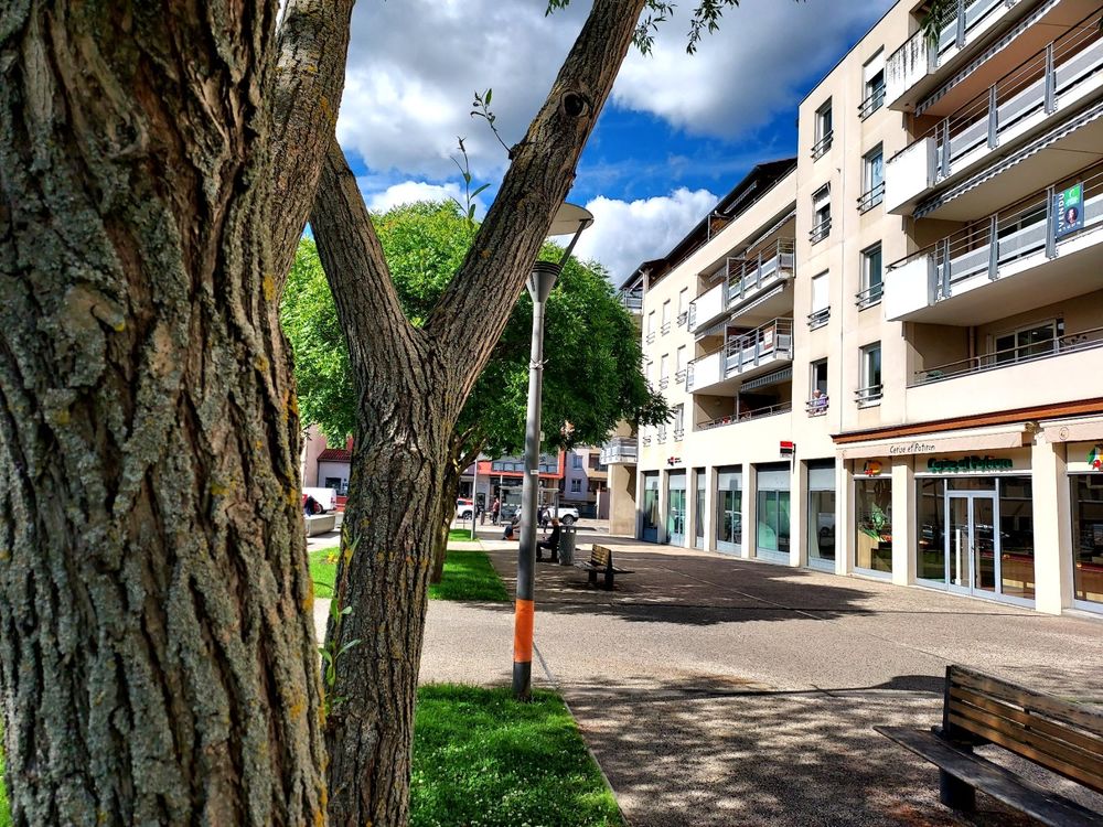 Vente Appartement CRAPONNE Hyper-centre Appartement T4 90 m² avec terrasse Craponne