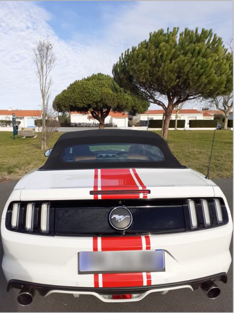 Ford Mustang Fastback 2.3 EcoBoost 317 A 2015 occasion Le Fenouiller 85800