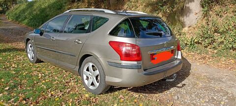 Peugeot 407 SW 2.0 HDi 16v Exécutive Pack 2005 occasion Blaincourt-lès-Précy 60460