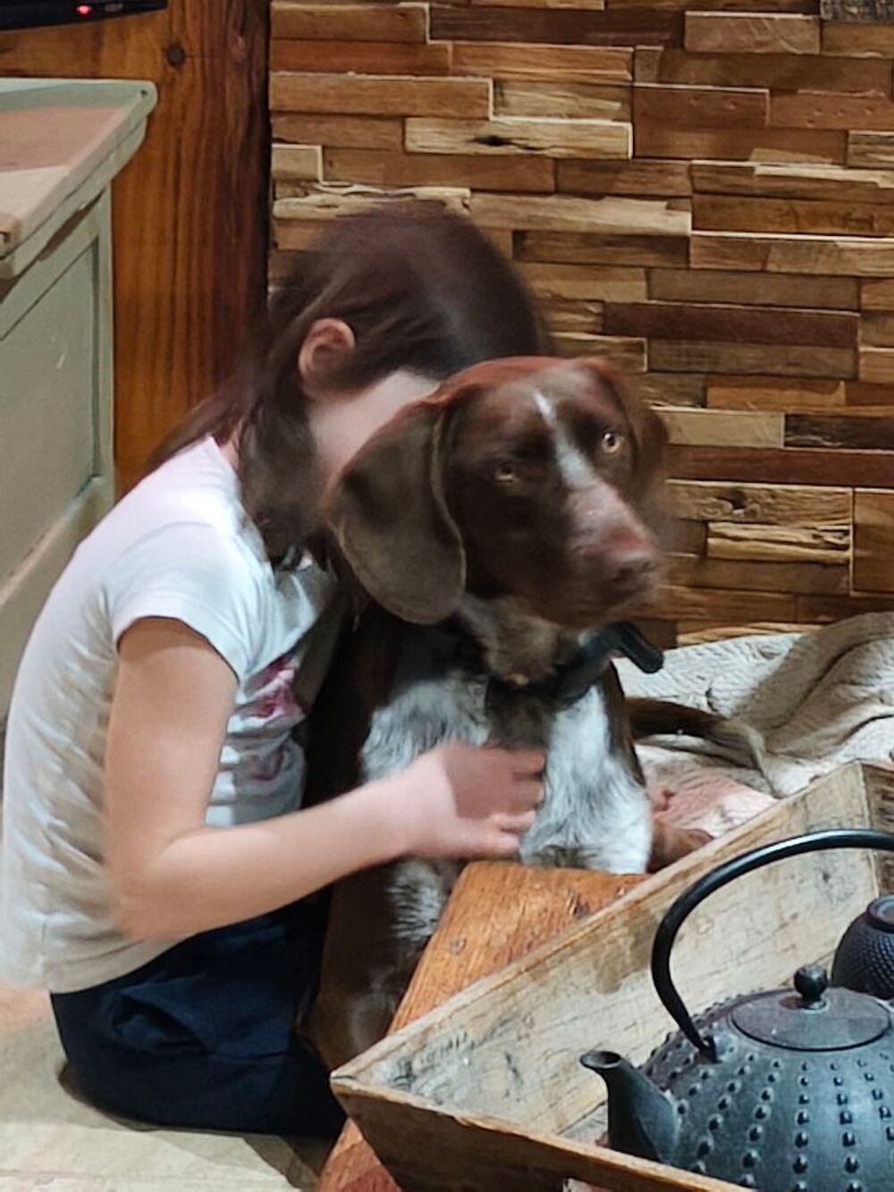   Donne chien contre bon soin. 