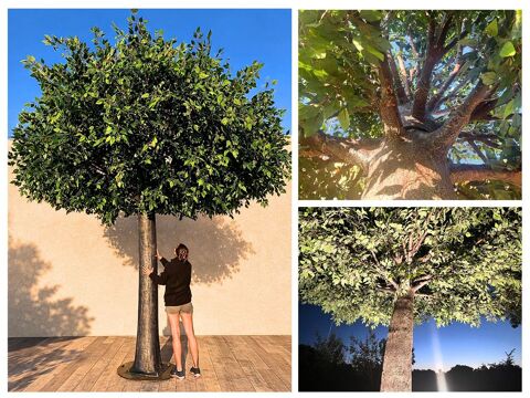 FICUS VERT ARTIFICIEL 4,50 M ? DÉSTOCKAGE Saint-Maximin-la-Sainte-Baume (83)