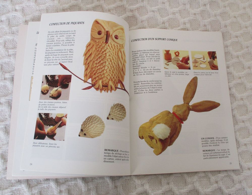 LIVRE DECORS EN PATE A SEL Livres et BD