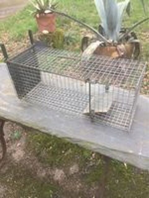   Cage/piège /attrape rongeur
