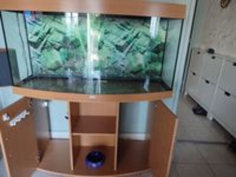   Aquarium  