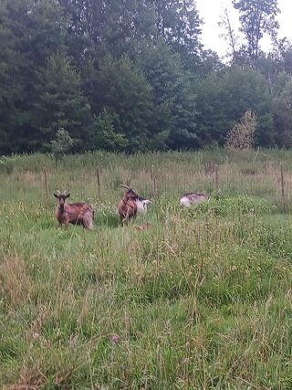  Terrain � vendre 11000 m�