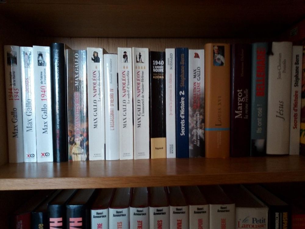lot de livres divers Livres et BD