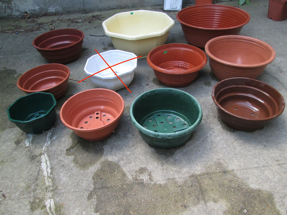 Pots de jardinage bas et larges Jardin