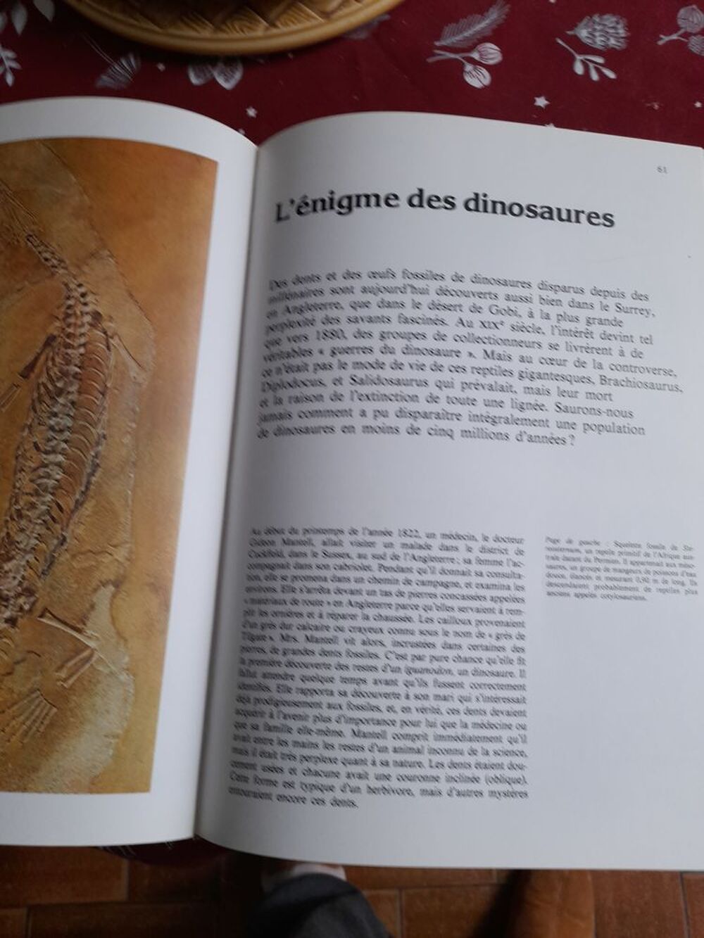 Encyclopedie tout sur l hunivers. 