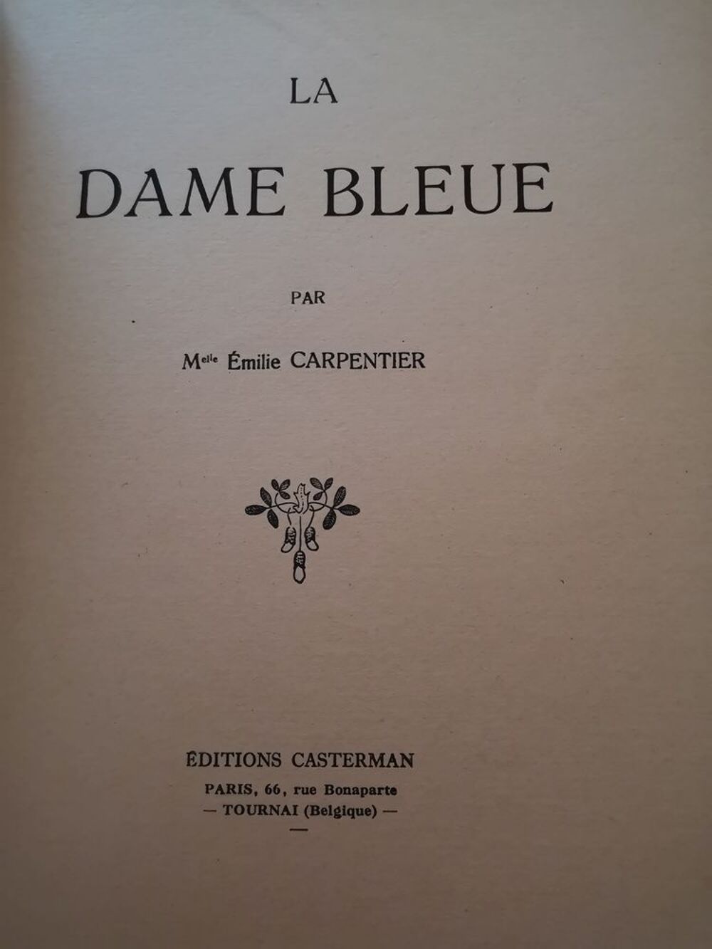 Le livre la dame bleue Livres et BD