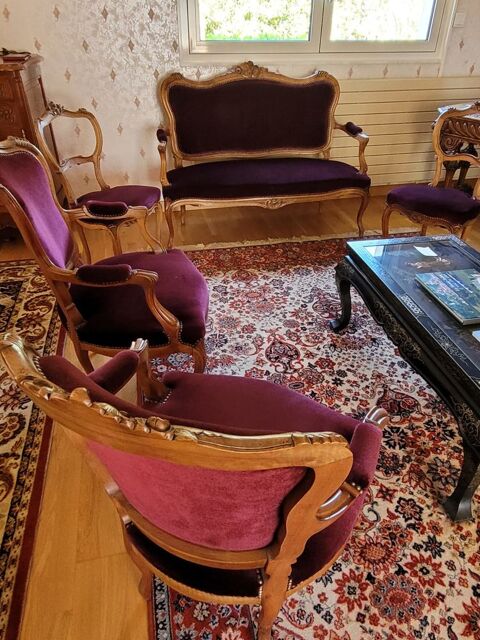 Salon style Louis XV Vesoul (70)