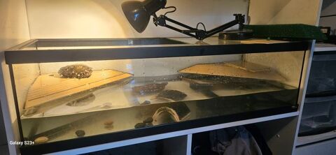 Terrarium 80 06800 Cagnes-sur-mer