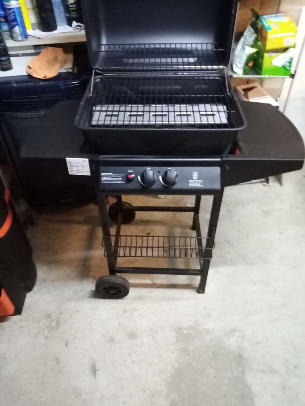 Barbecue a gaz Jardin