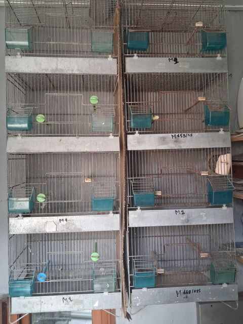 Cage pour oiseaux Sin-le-Noble (59)