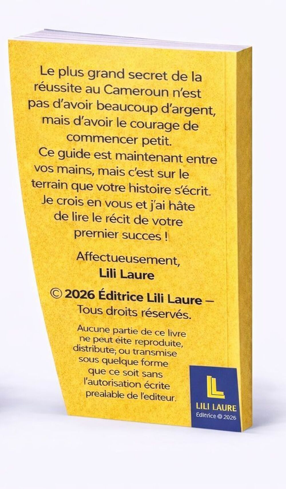 R&eacute;ussir au Cameroun ?? Livres et BD