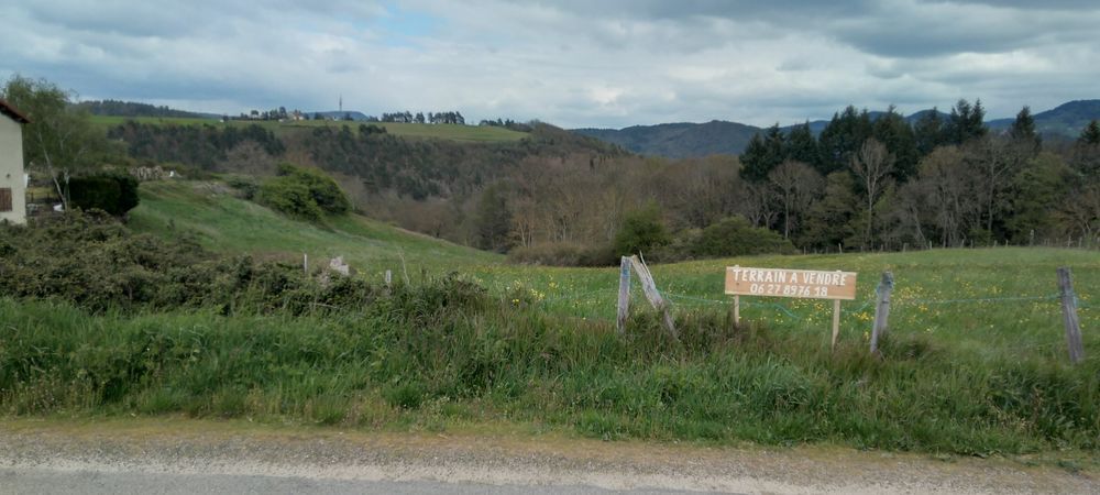 Vente Terrain TERRAIN CONSTRUCTIBLE 3600m2 Vorey