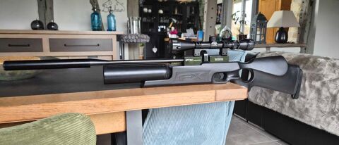 carabine+pcp+fx+royale+5,5 �vreux (27)