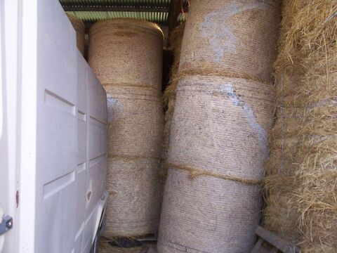 foin   balles   ronde 95 81990 Le sequestre