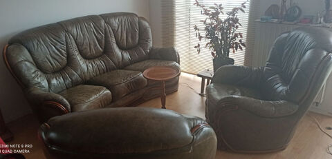 canape cuir fine fleur 50 Saint-Brieuc (22)