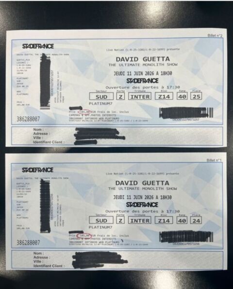 Concert David G 185 Rouen (76)
