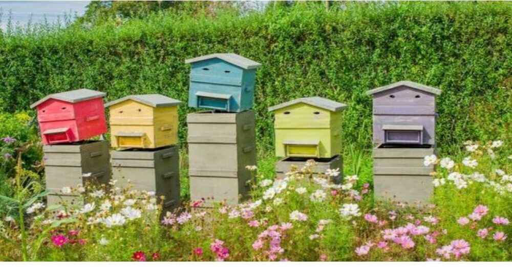   Miel toutes fleurs  