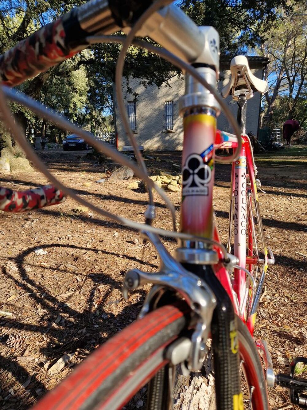 Magnifiques Colnago Master olympique Vélos