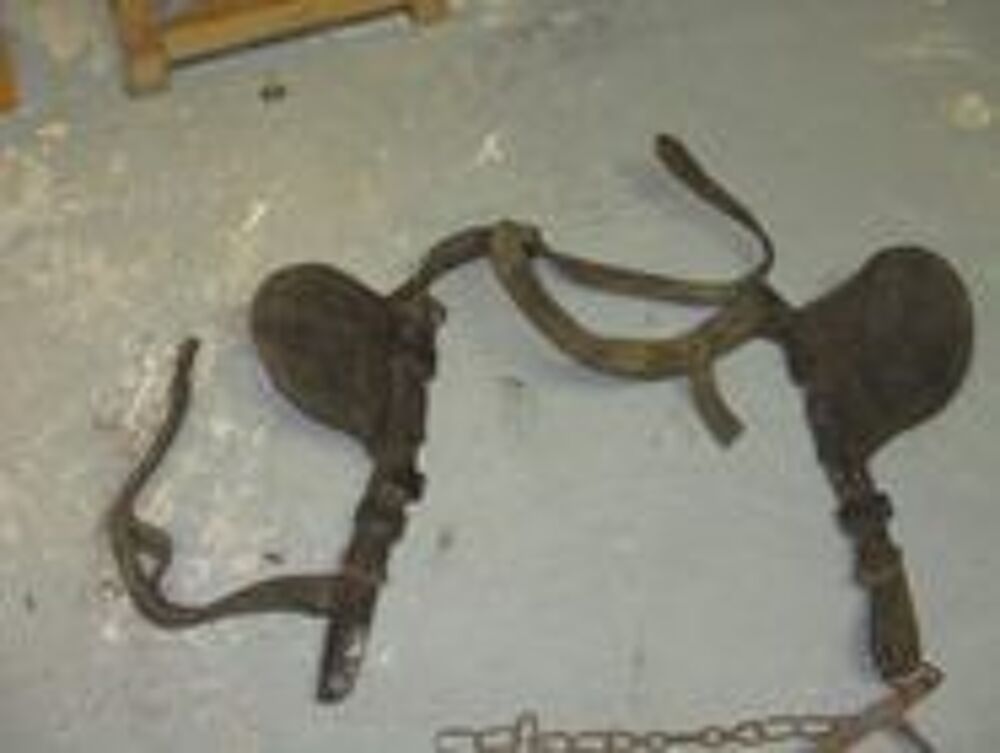 Oeill&egrave;res et mors de cheval en cuir origine Décoration
