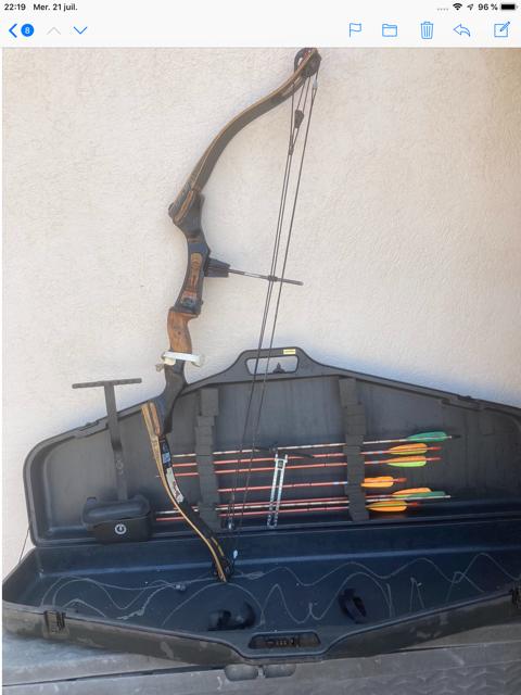 Arc de chasse � poulies 350 Six-Fours-les-Plages (83)