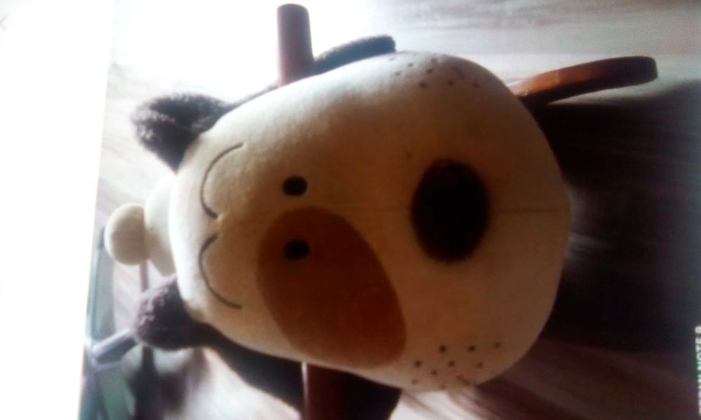 chien a bascule Jeux / jouets