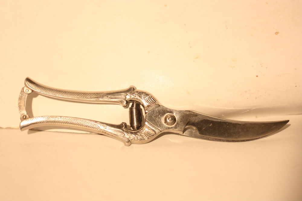 Ciseau &agrave; viande.
Electroménager