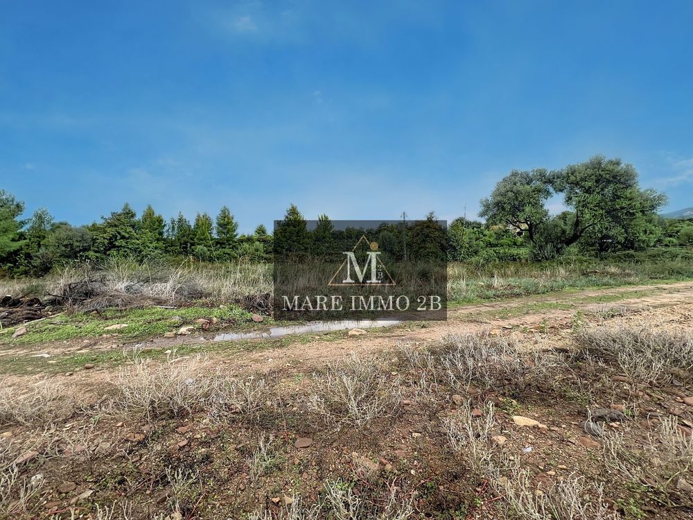 Vente Terrain Terrain constructible de 978m² hors lotissement Calvi