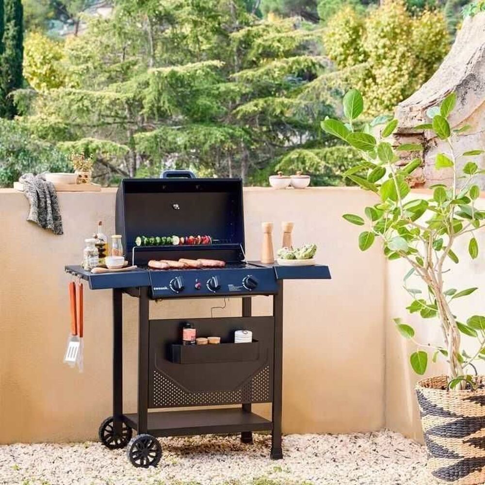 Barbecue au gaz Madeleine noir Jardin