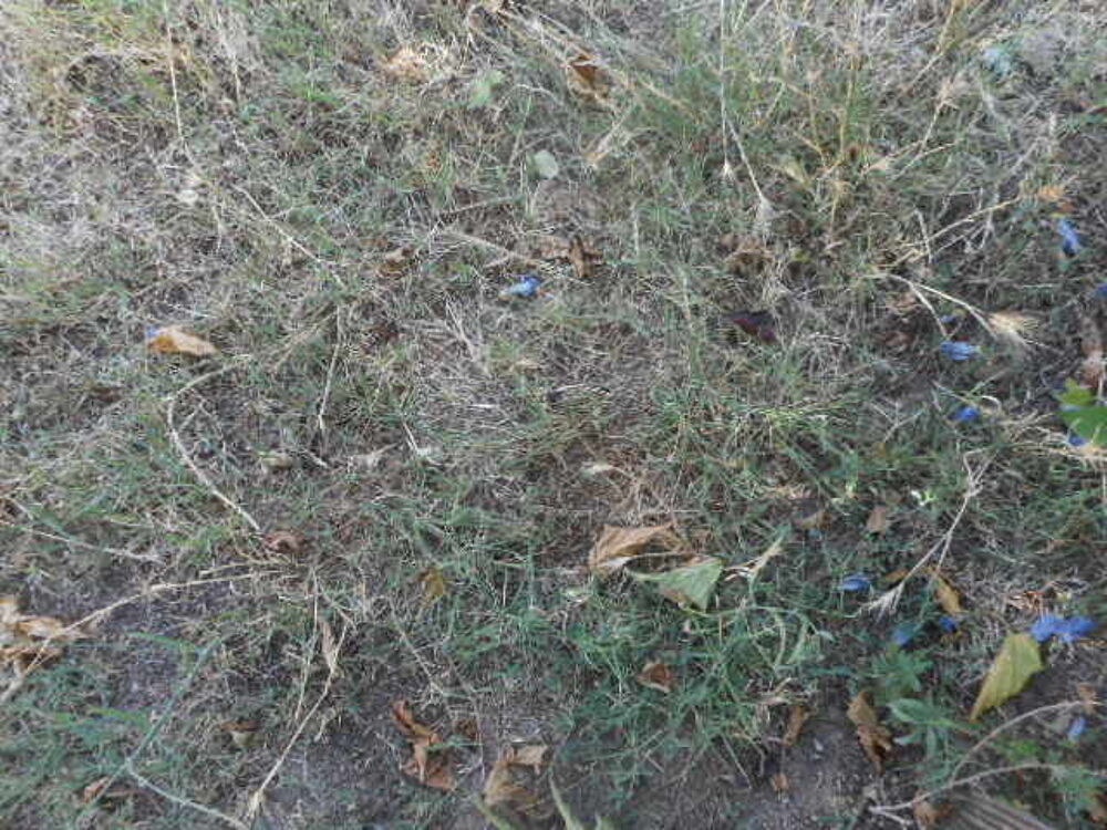 Vente Jardin