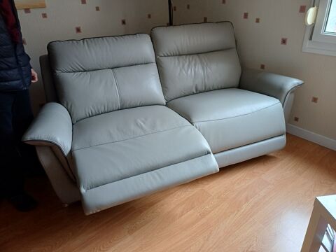 Canap� en cuir gris clair deux places 800 Reims (51)