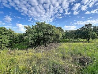  Terrain à vendre 1800 m²