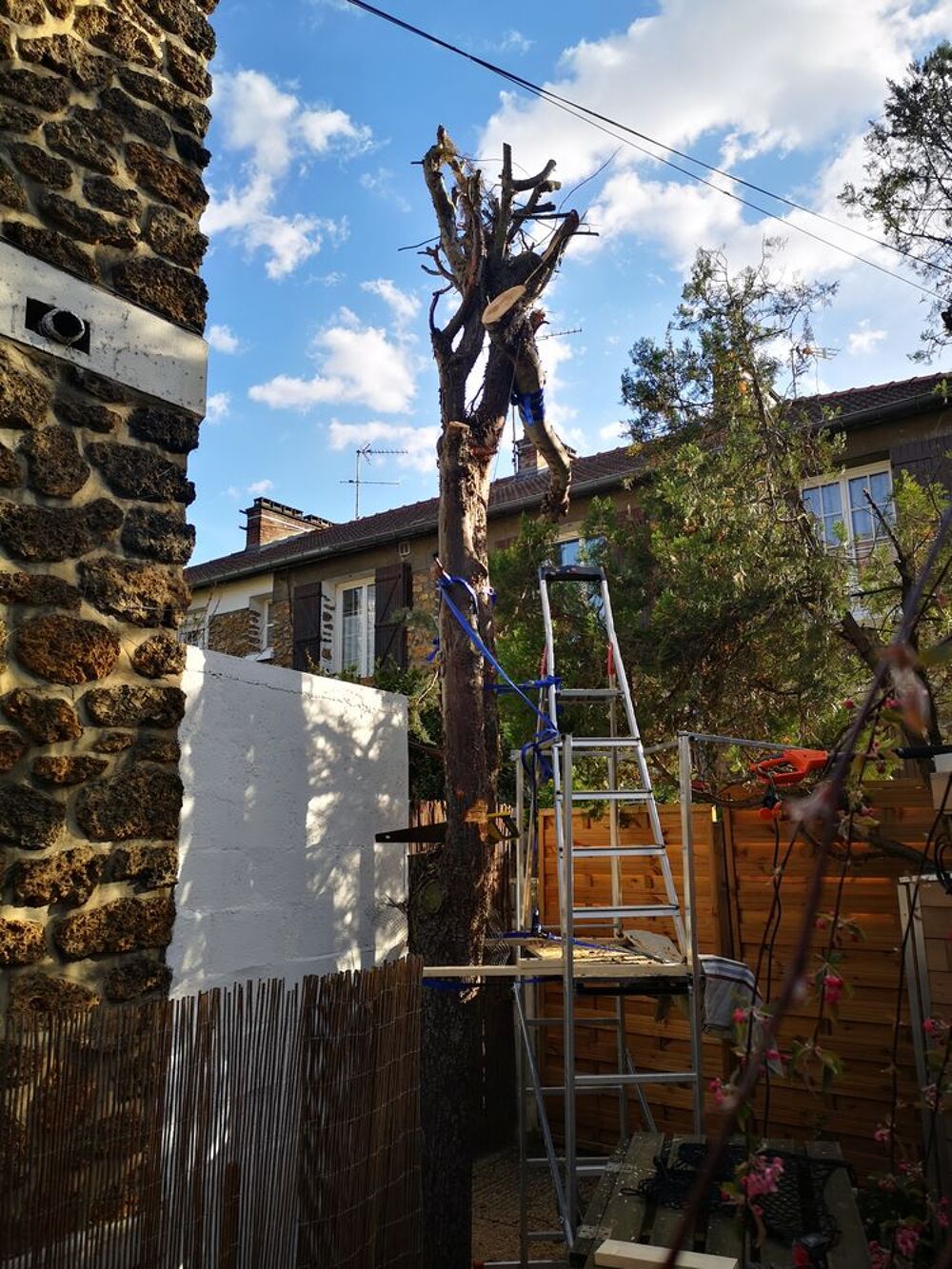 Elagueur tron&ccedil;onneuse sur perche &eacute;lec B&amp;Decker PS7525 800w Jardin