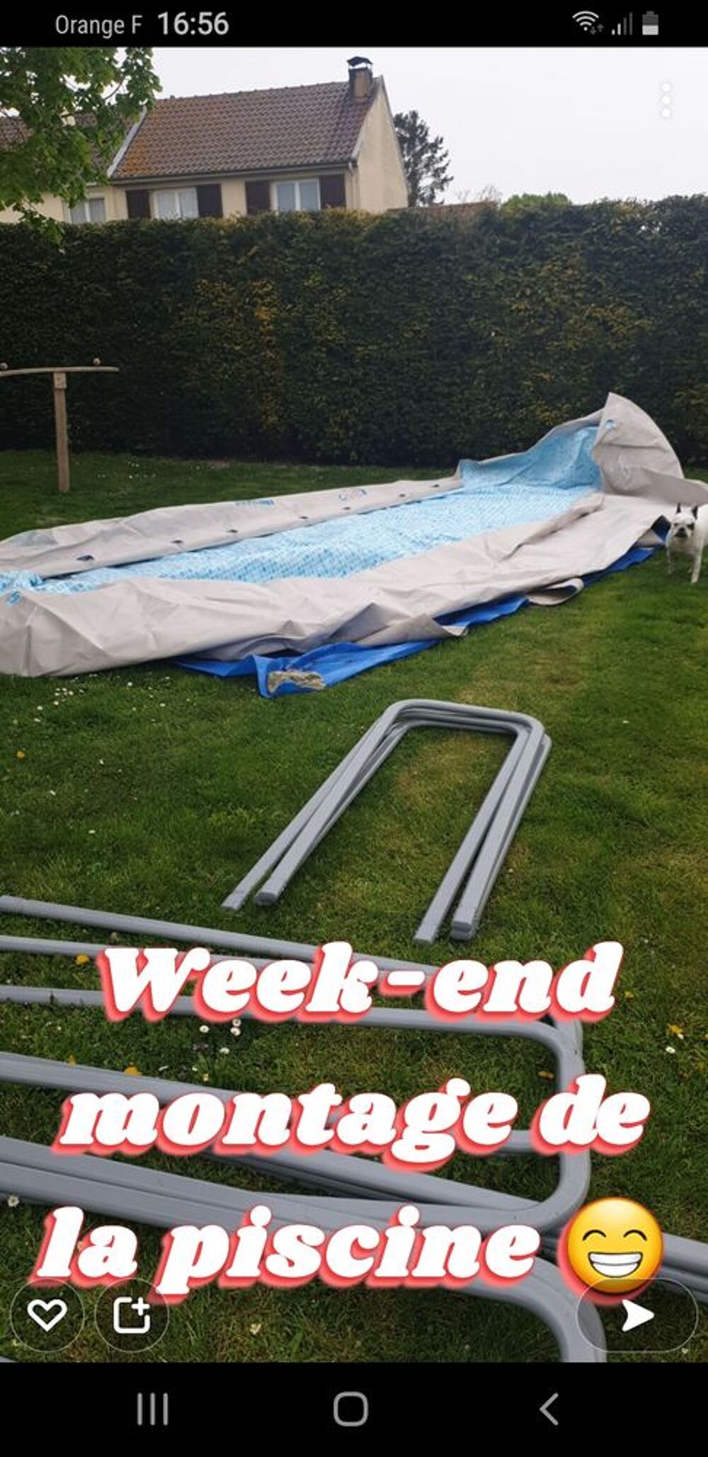 Piscine Jardin