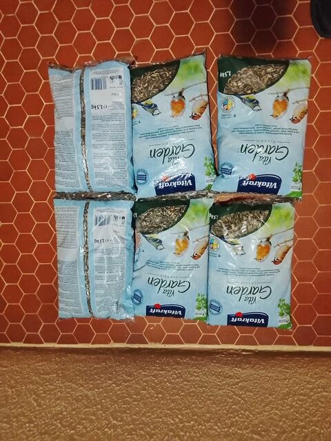 graines tournesol oiseaux x7 25 Les Sables-d'Olonne (85)