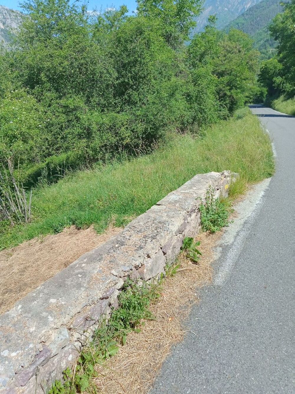 Vente Terrain Vallée VESUBIE TERRAIN loisirs 2800m2 en bordure de  route Belvédère