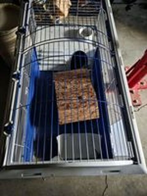   Je cage hamster  