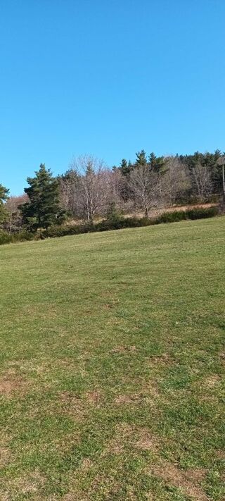  Terrain à vendre 3640 m² Borée