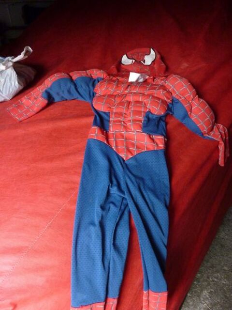 deguisement spiderman 28 Bezons (95)